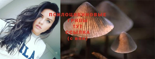 дмт Алзамай
