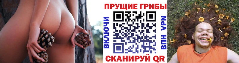 KRAKEN зеркало  Кяхта  Псилоцибиновые грибы ЛСД 